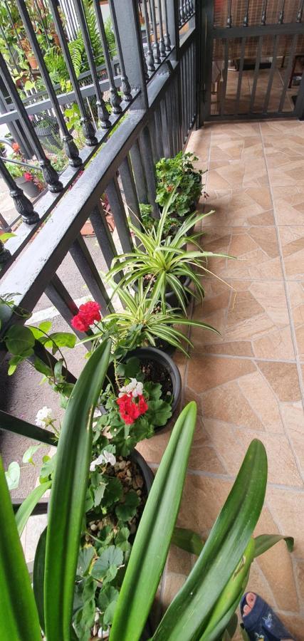 Casa Rural El Puente 塔加纳纳 外观 照片